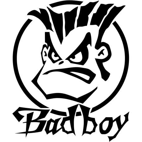 Bad Boy1
